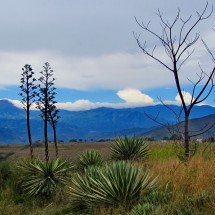 Landscape between Popayan and Pasto